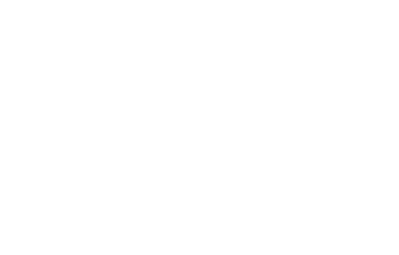 AMD Seed